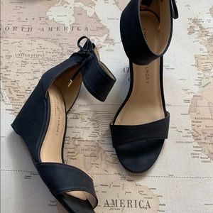 chinese laundry camomile